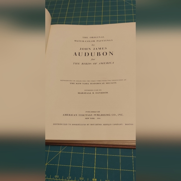 Sharp Tailed Sparrow. John James Audubon - Picture 3 of 4